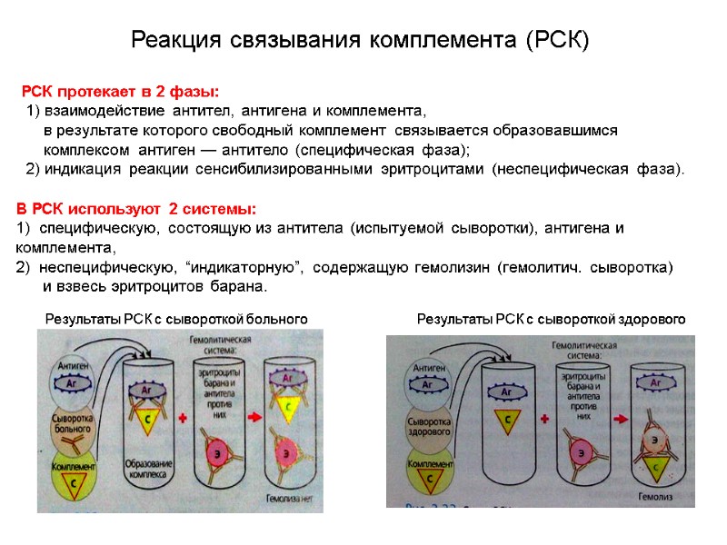 Реакция связывания комплемента (РСК) РСК протекает в 2 фазы:  1) взаимодействие антител, антигена